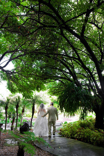 www.fotografosdebodas.mx