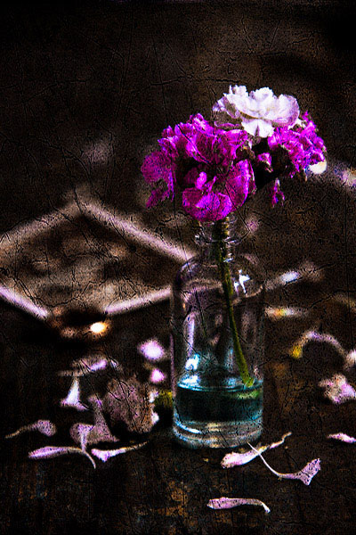 Flor Nostalgia
