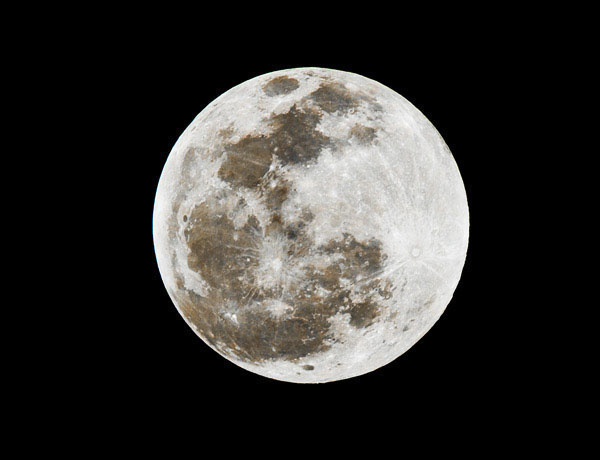Luna Nitida