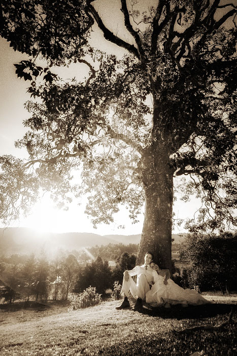 Valle de bravo boda arbol